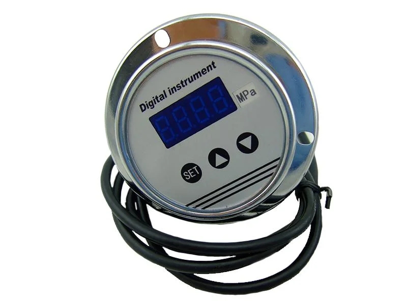 Cx-DPG-130 Digital Standard Pressure Gauge (CX-DPG-130)